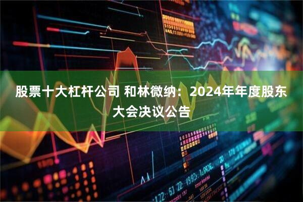 股票十大杠杆公司 和林微纳：2024年年度股东大会决议公告